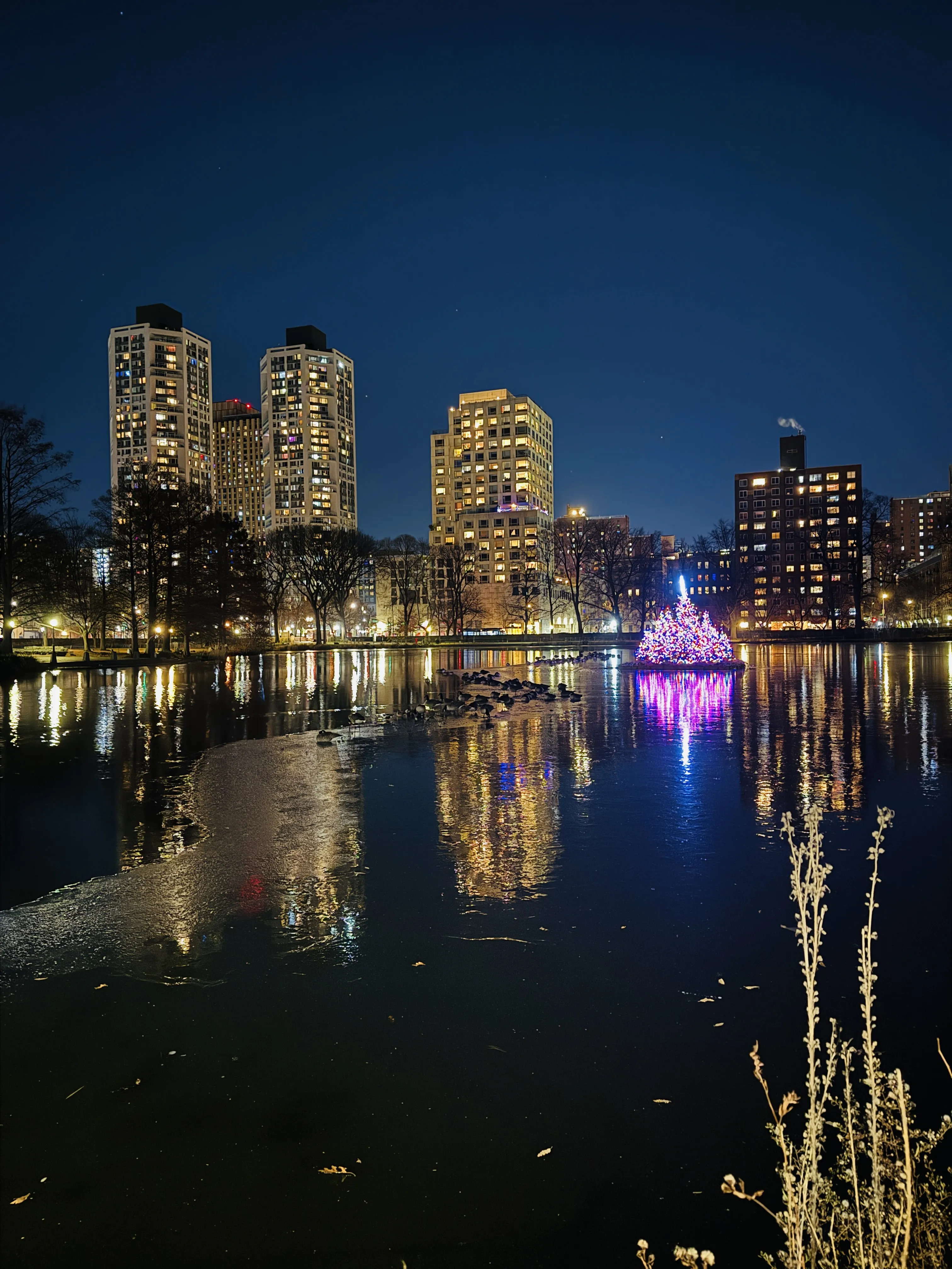 Photo from NYC Winter 2025