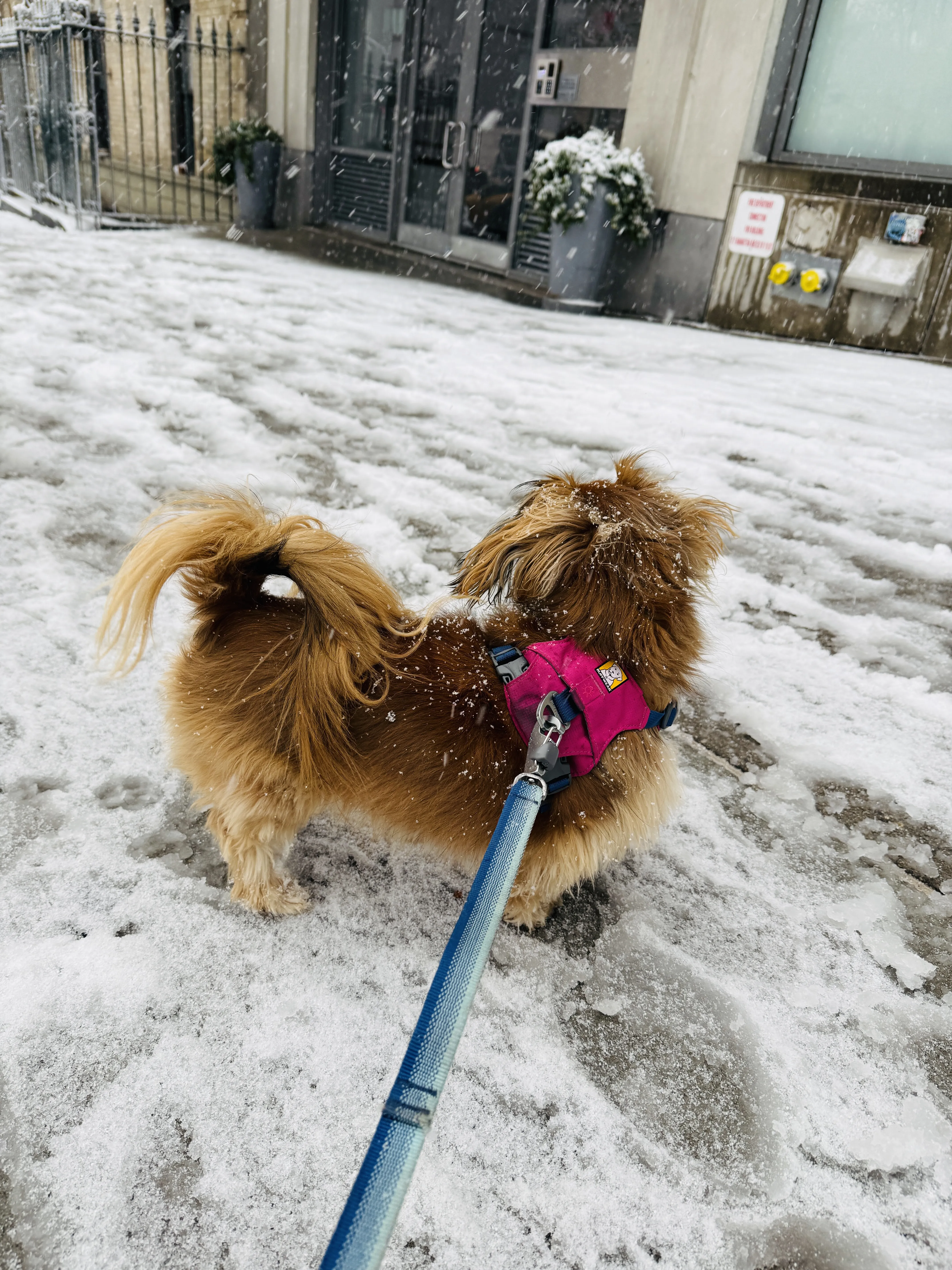 Photo from NYC Winter 2025