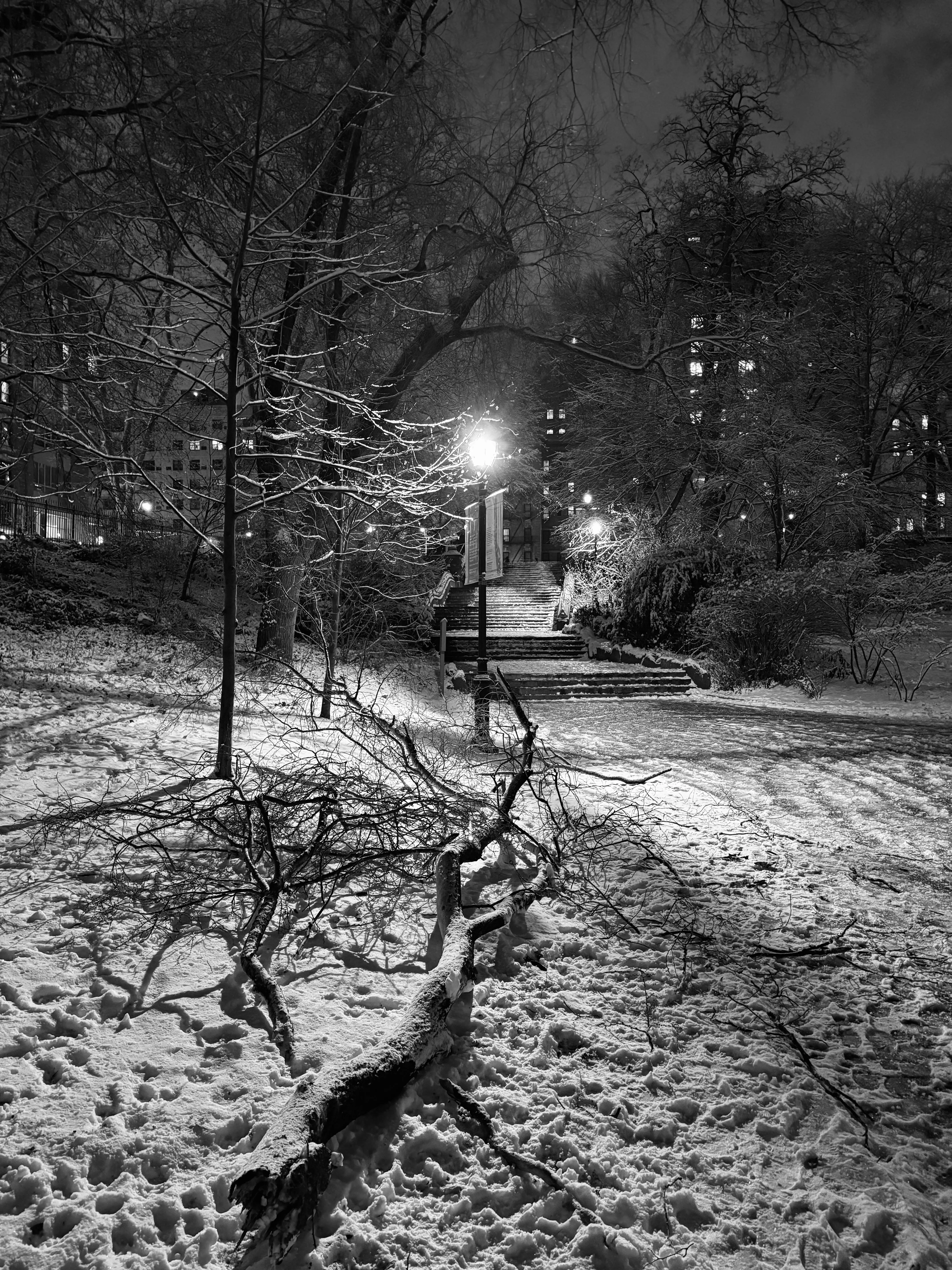 Photo from NYC Winter 2025