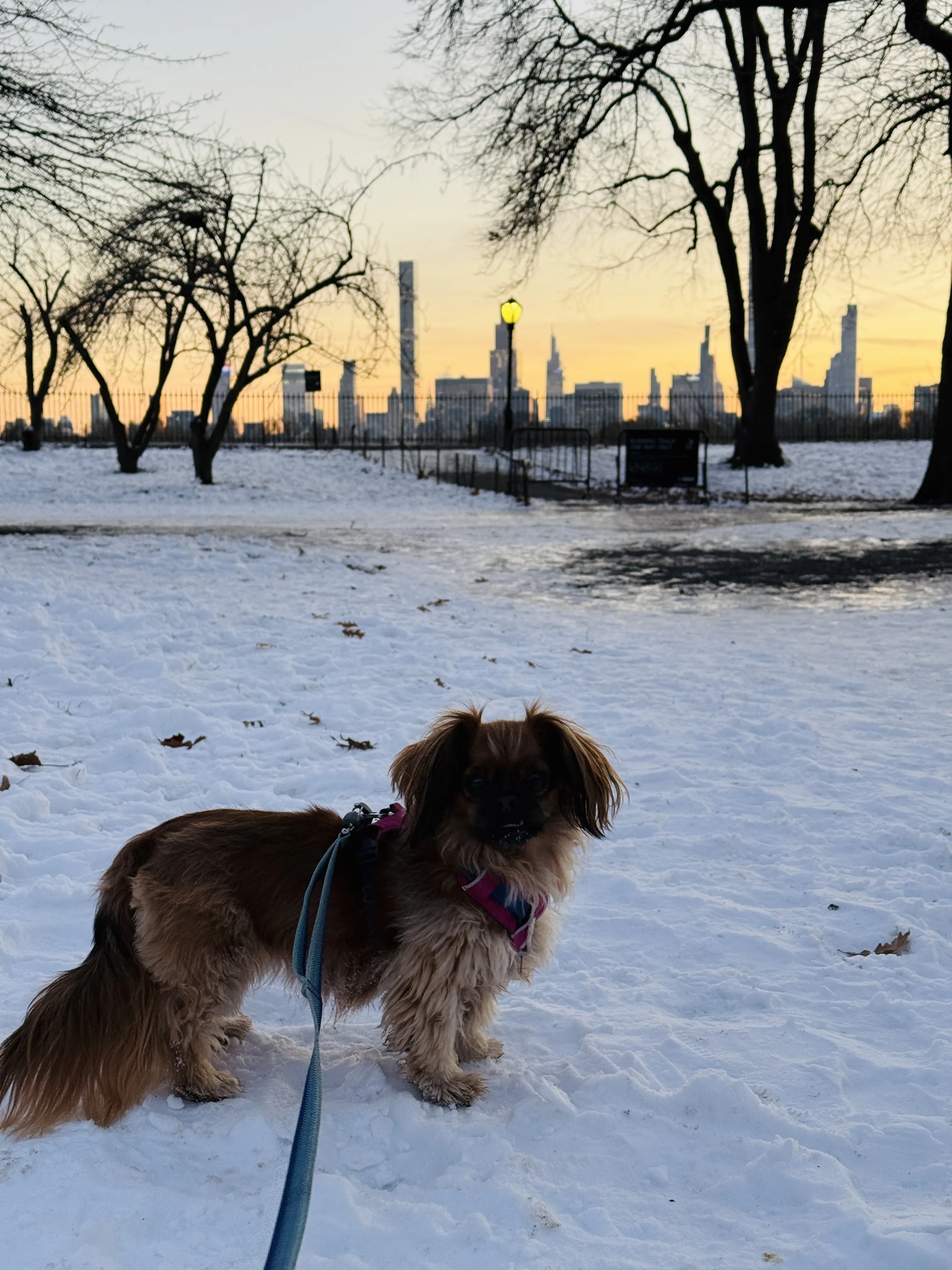 Photo from NYC Winter 2025