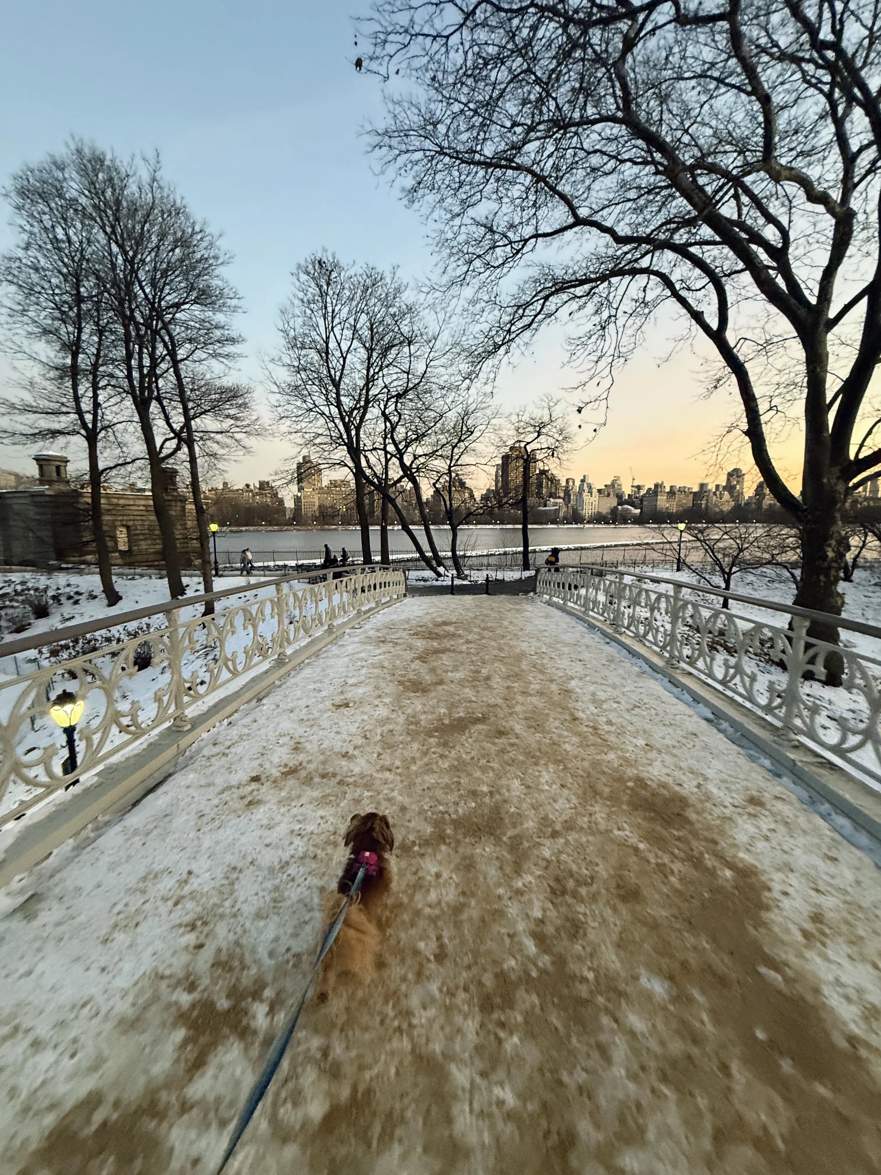 Photo from NYC Winter 2025