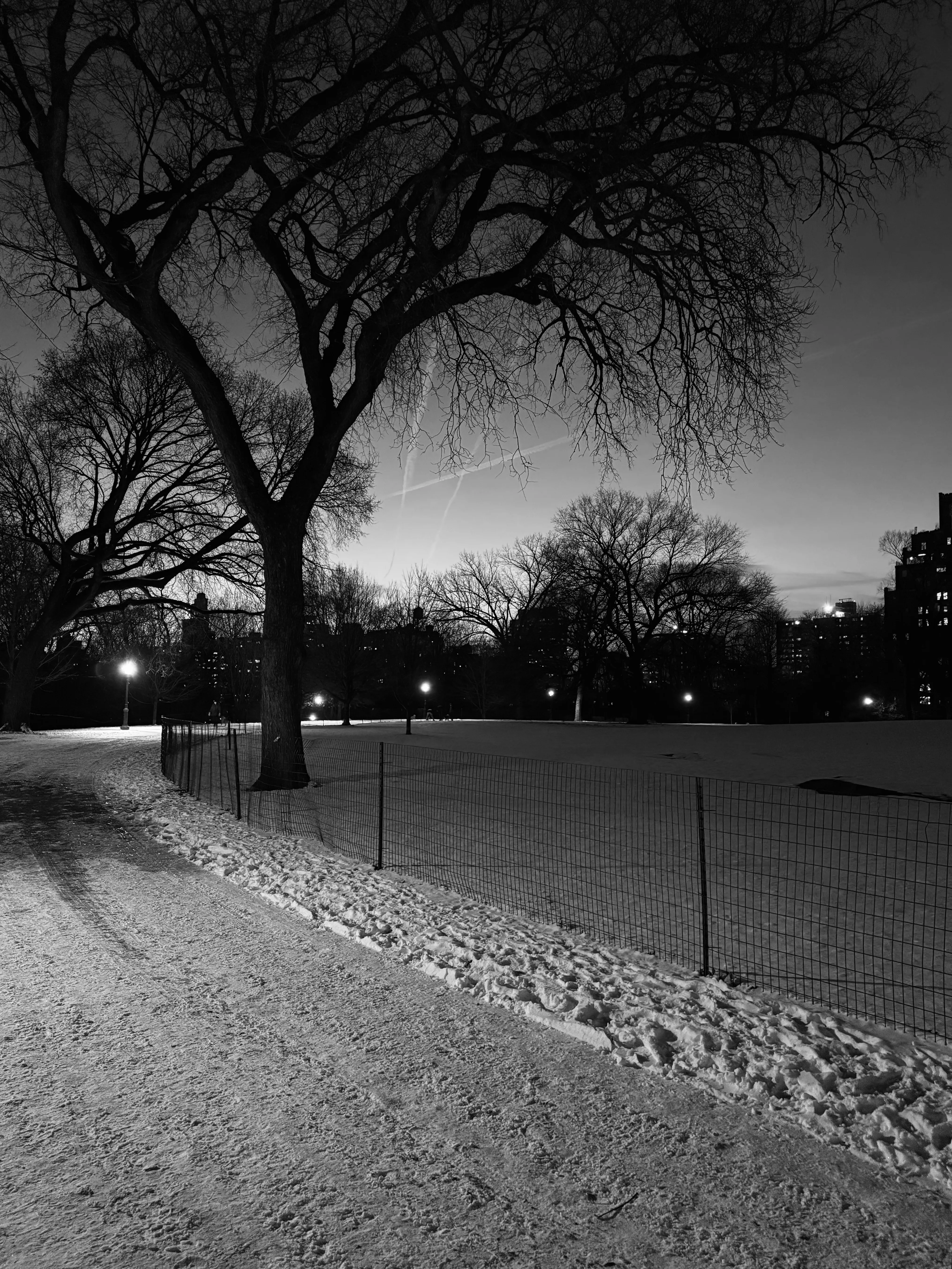 Photo from NYC Winter 2025